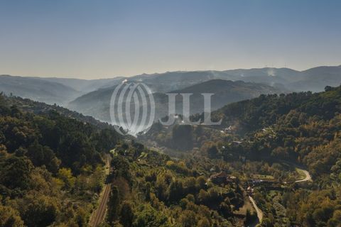 Farm i Baiao, Porto, Baiao - € 1.050.000 | Ref: 93924 - foto 48