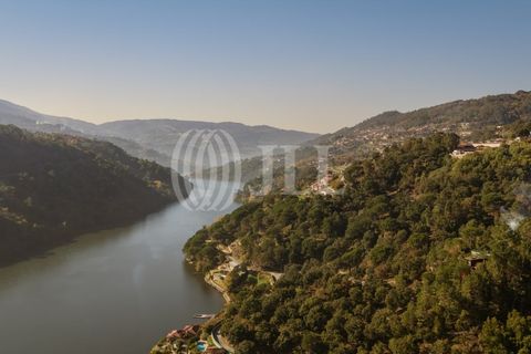 Farm i Baiao, Porto, Baiao - € 1.050.000 | Ref: 93924 - foto 50