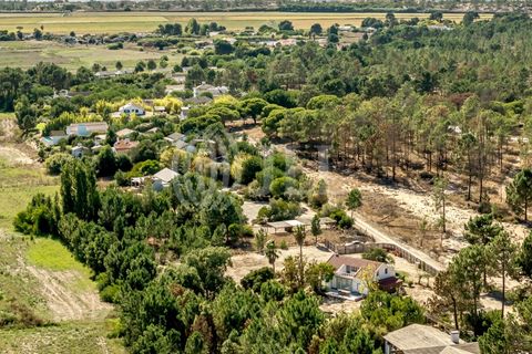 Terra a Comporta, Setubal, Comporta - € 2.600.000 | Ref: 91761 - foto 17