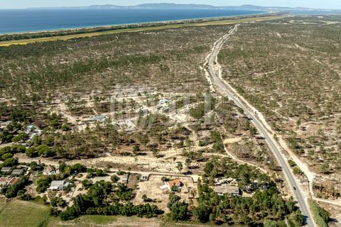 Terra a Comporta, Setubal, Comporta - € 2.600.000 | Ref: 91761 - foto 21