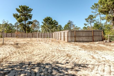 Terra a Comporta, Setubal, Comporta - € 2.600.000 | Ref: 91761 - foto 19
