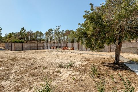 Terra a Comporta, Setubal, Comporta - € 2.600.000 | Ref: 91761 - foto 18