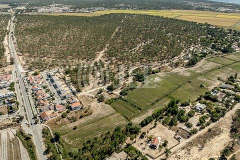 Terra a Comporta, Setubal, Comporta - € 2.600.000 | Ref: 91761 - foto 23