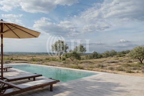 Terra a Comporta, Setubal, Comporta - € 2.600.000 | Ref: 91761 - foto 2