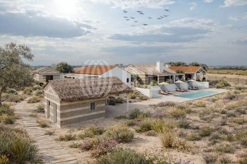 Terra a Comporta, Setubal, Comporta - € 2.600.000 | Ref: 91761 - foto 5