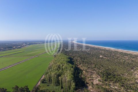Helårsgrund i Comporta, Setubal, Comporta - € 1.090.000 | Ref: 94975 - foto 4