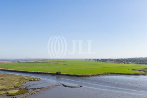 Helårsgrund i Comporta, Setubal, Comporta - € 1.090.000 | Ref: 94975 - foto 5