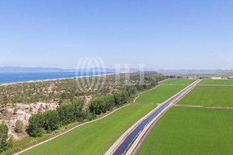Helårsgrund i Comporta, Setubal, Comporta - € 1.090.000 | Ref: 94975 - foto 6