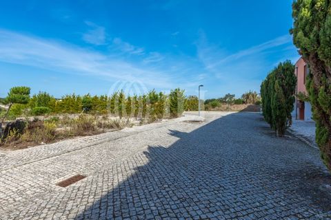 Helårsgrund i Vau, Leiria, Vau - € 180.000 | Ref: 55903 - foto 16