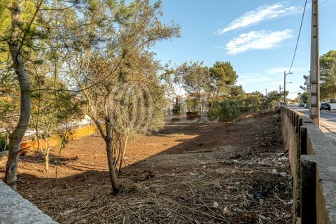 Helårsgrund i Cascais, Lisbon, Cascais - € 2.900.000 | Ref: 93664 - foto 3