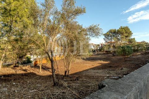 Helårsgrund i Cascais, Lisbon, Cascais - € 2.900.000 | Ref: 93664 - foto 4
