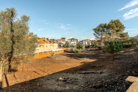 Helårsgrund i Cascais, Lisbon, Cascais - € 2.900.000 | Ref: 93664 - foto 5