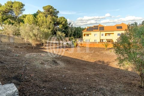 Helårsgrund i Cascais, Lisbon, Cascais - € 2.900.000 | Ref: 93664 - foto 7