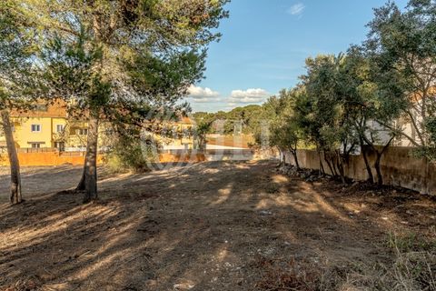 Helårsgrund i Cascais, Lisbon, Cascais - € 2.900.000 | Ref: 93664 - foto 9