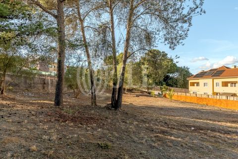 Helårsgrund i Cascais, Lisbon, Cascais - € 2.900.000 | Ref: 93664 - foto 10