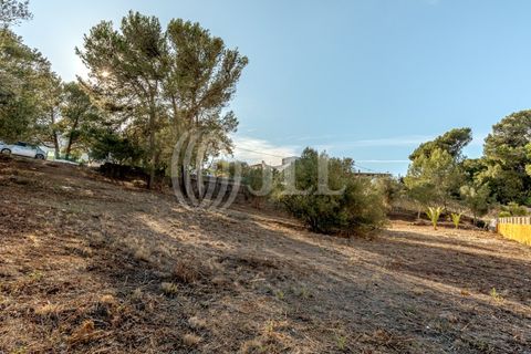 Helårsgrund i Cascais, Lisbon, Cascais - € 2.900.000 | Ref: 93664 - foto 13