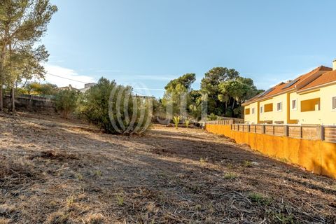 Helårsgrund i Cascais, Lisbon, Cascais - € 2.900.000 | Ref: 93664 - foto 14