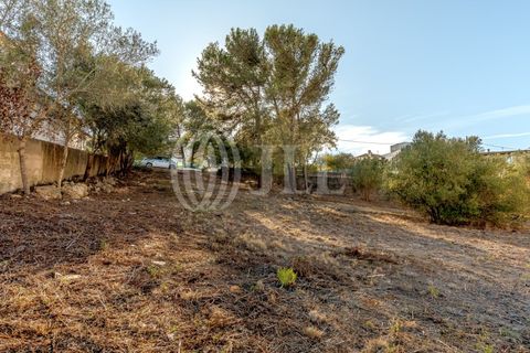 Helårsgrund i Cascais, Lisbon, Cascais - € 2.900.000 | Ref: 93664 - foto 15