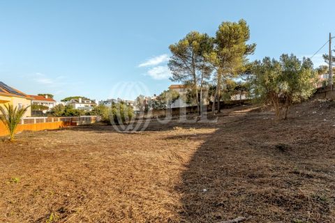 Helårsgrund i Cascais, Lisbon, Cascais - € 2.900.000 | Ref: 93664 - foto 17
