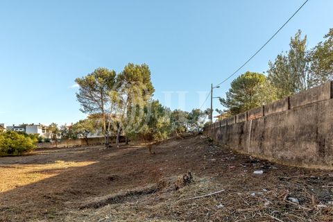 Helårsgrund i Cascais, Lisbon, Cascais - € 2.900.000 | Ref: 93664 - foto 18