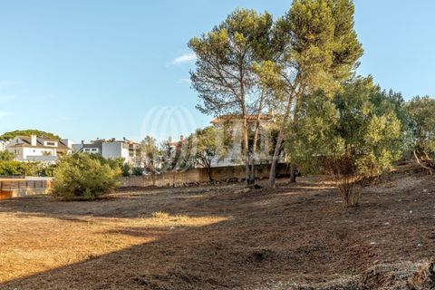 Helårsgrund i Cascais, Lisbon, Cascais - € 2.900.000 | Ref: 93664 - foto 20