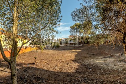 Helårsgrund i Cascais, Lisbon, Cascais - € 2.900.000 | Ref: 93664 - foto 21