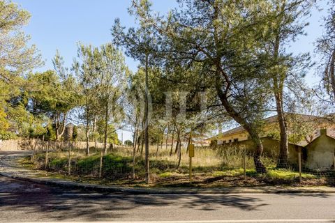 Helårsgrund i Sintra, Lisbon, Sintra - € 320.000 | Ref: 93704 - foto 8