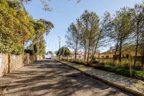 Helårsgrund i Sintra, Lisbon, Sintra - € 320.000 | Ref: 93704 - foto 10