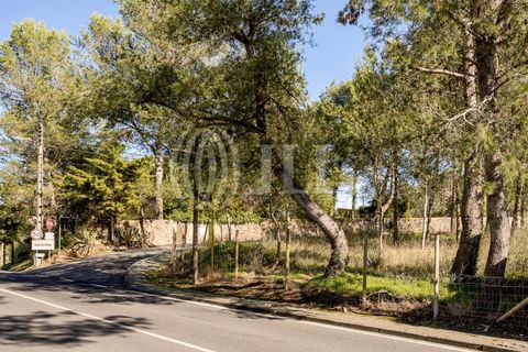 Helårsgrund i Sintra, Lisbon, Sintra - € 320.000 | Ref: 93704 - foto 11