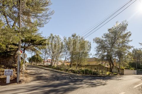 Helårsgrund i Sintra, Lisbon, Sintra - € 320.000 | Ref: 93704 - foto 13
