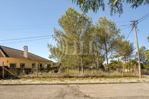 Helårsgrund i Sintra, Lisbon, Sintra - € 320.000 | Ref: 93704 - foto 14