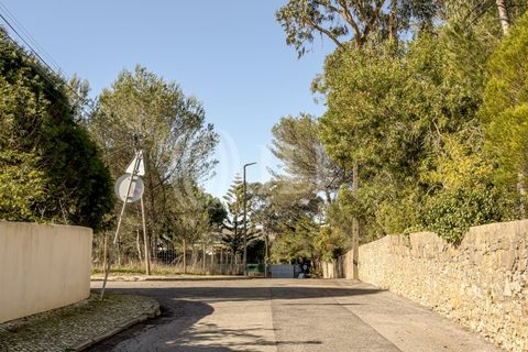 Helårsgrund i Sintra, Lisbon, Sintra - € 320.000 | Ref: 93704 - foto 15