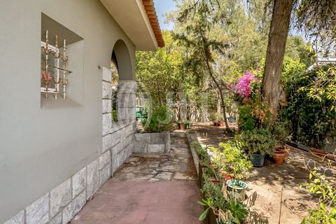 Villa i Oeiras, Lisbon, Oeiras - € 1.990.000 | Ref: 91318 - foto 30