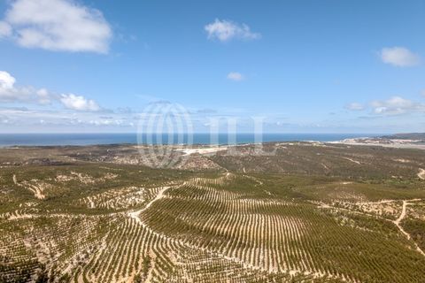 Helårsgrund i Vau, Leiria, Vau - € 295.000 | Ref: 90930 - foto 18