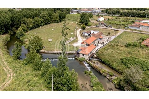 Farm i Penafiel, Porto, Penafiel - € 1.480.000 | Ref: 89809 - foto 1