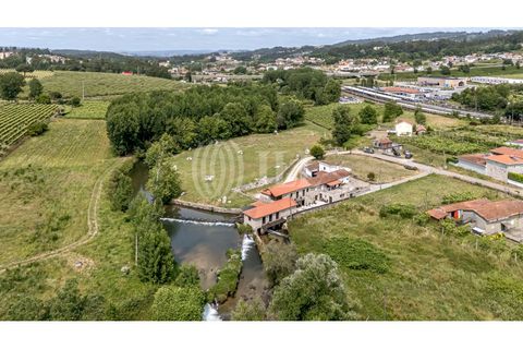 Farm i Penafiel, Porto, Penafiel - € 1.480.000 | Ref: 89809 - foto 37
