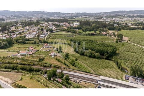 Farm i Penafiel, Porto, Penafiel - € 1.480.000 | Ref: 89809 - foto 39