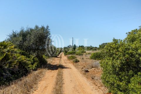 Helårsgrund i Luz, Faro, Luz - € 1.150.000 | Ref: 80536 - foto 4
