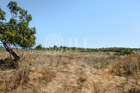 Helårsgrund i Luz, Faro, Luz - € 1.150.000 | Ref: 80536 - foto 18