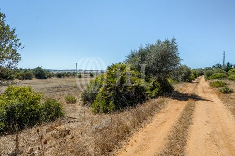Helårsgrund i Luz, Faro, Luz - € 1.150.000 | Ref: 80536 - foto 25