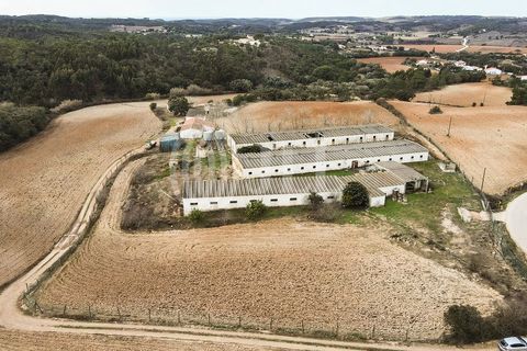 Terra a Bordeira, Faro, Bordeira - € 1.075.000 | Ref: 65761 - foto 2