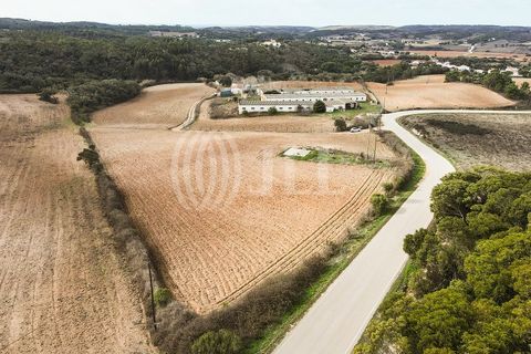 Terra a Bordeira, Faro, Bordeira - € 1.075.000 | Ref: 65761 - foto 3