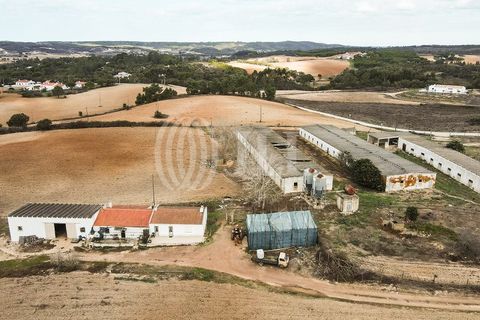 Terra a Bordeira, Faro, Bordeira - € 1.075.000 | Ref: 65761 - foto 13