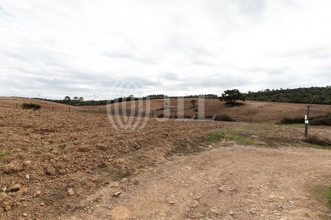Terra a Bordeira, Faro, Bordeira - € 1.075.000 | Ref: 65761 - foto 15