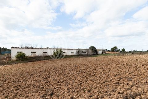 Terra a Bordeira, Faro, Bordeira - € 1.075.000 | Ref: 65761 - foto 16