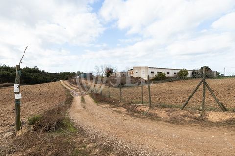 Terra a Bordeira, Faro, Bordeira - € 1.075.000 | Ref: 65761 - foto 17