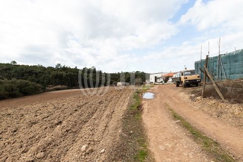 Terra a Bordeira, Faro, Bordeira - € 1.075.000 | Ref: 65761 - foto 19