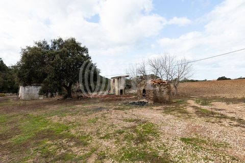 Terra a Bordeira, Faro, Bordeira - € 1.075.000 | Ref: 65761 - foto 24