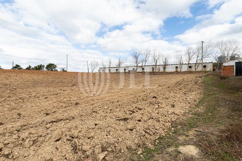 Terra a Bordeira, Faro, Bordeira - € 1.075.000 | Ref: 65761 - foto 25