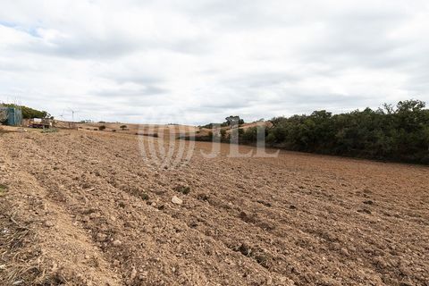 Terra a Bordeira, Faro, Bordeira - € 1.075.000 | Ref: 65761 - foto 26